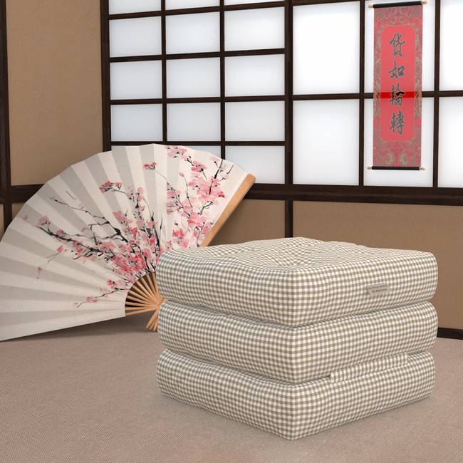 Футон C ткань club